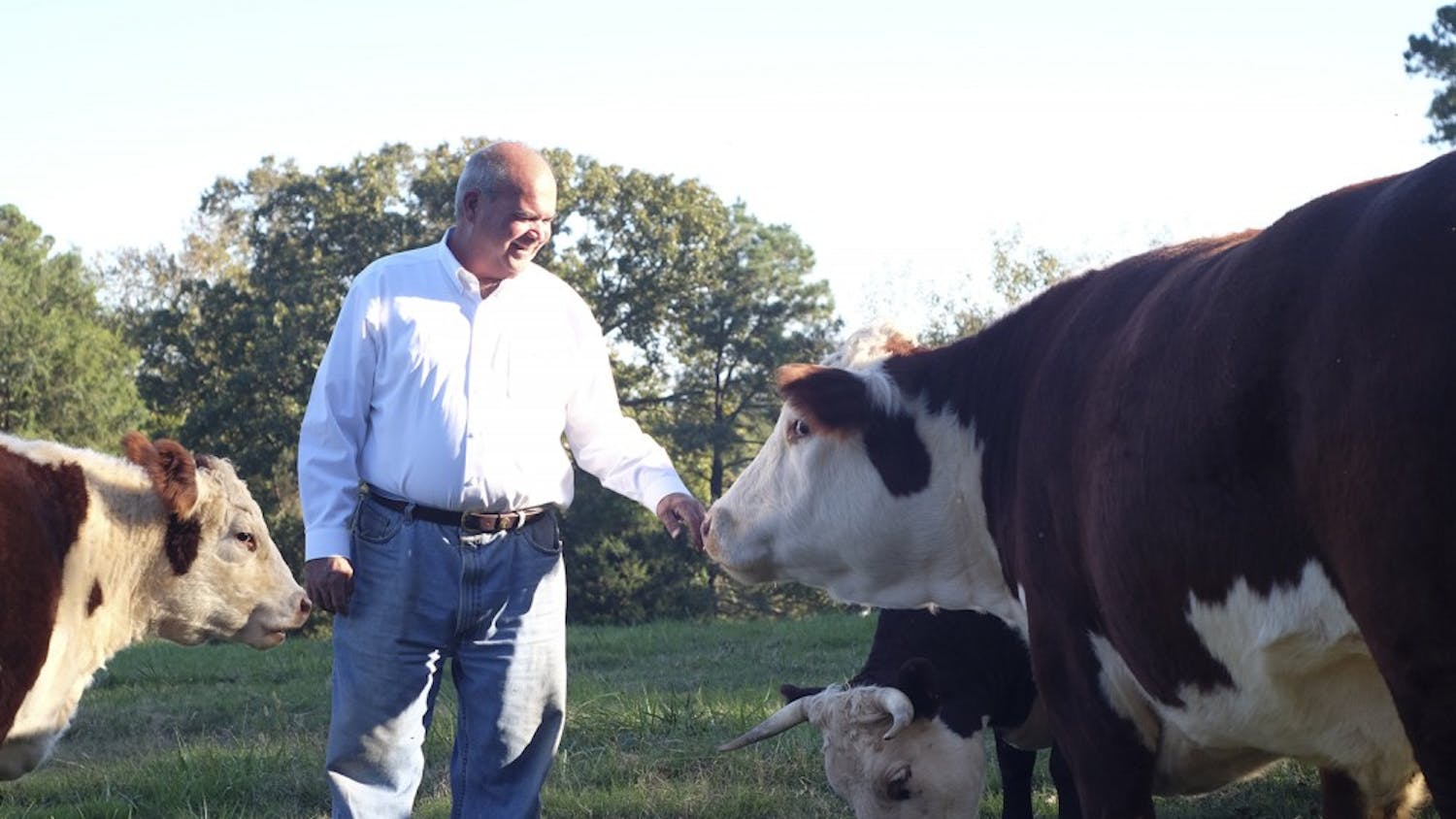 Chris Hogan poses with his cows while they feed on Thursday, Oct 22. Hogan says that the cows are more like pets than normal farm animals. 