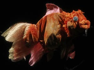 The Historical Playmaker's Theater presents it's latest installment of the Process Series which is a so-called "puppet dream play." Tori Ralston, inspired by Eastern culture, wrote the play called "Harvesting Pomegranate Dreams" that premiers Friday evening at 8 p.m.