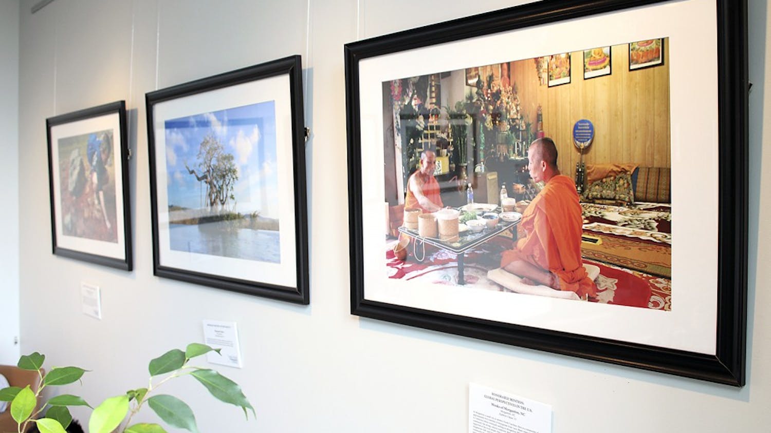 The 2015 Carolina Global Photography Exhibition is on display until July 31 in the FedEx Global Education Center. 