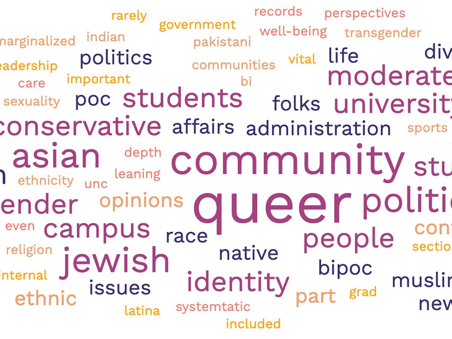This is a word cloud of the most common responses to the survey question "What part of your identity / perspective do you feel is not represented (in the DTH)?"