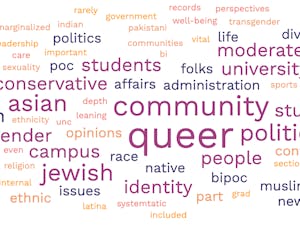 This is a word cloud of the most common responses to the survey question "What part of your identity / perspective do you feel is not represented (in the DTH)?"