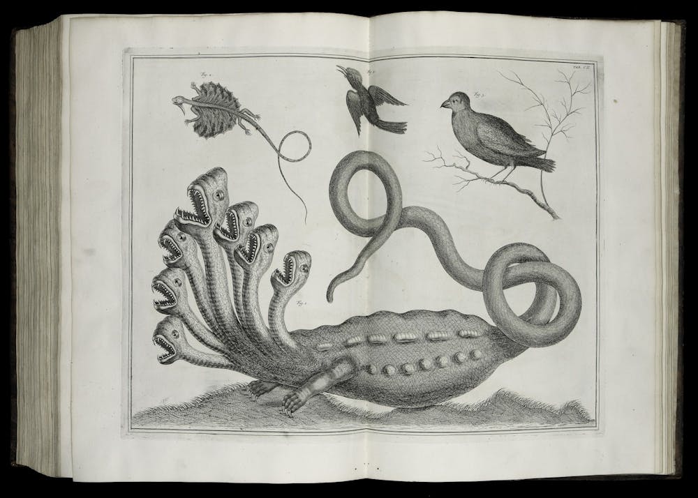 A page from one of the rare books donated by Florence Fearrington: Albertus Seba, Locupletissimi rerum naturalium thesauri accurata descriptio (Amsterdam: Wetsten, Smith and Jannson-Waesberg, 1734). From the Florence Fearrington Collection. Photo courtesy UNC-Chapel Hill University Libraries.