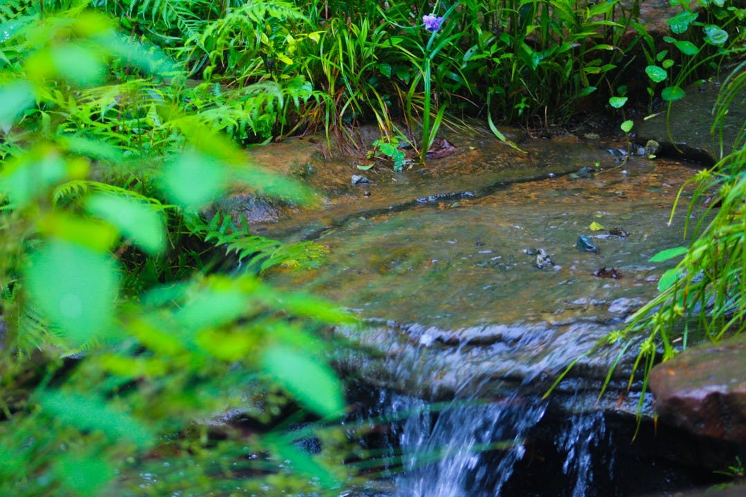 coker-06222023-3-jpg