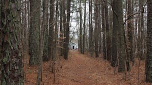 The Greene Tract is an undeveloped 164 acre property north of Chapel Hill on Sunday, Feb. 17, 2019.