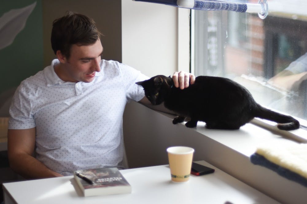 We're not kitten around: cat cafe now open on Franklin Street