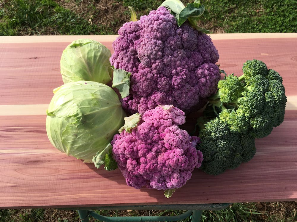 farmers market produce