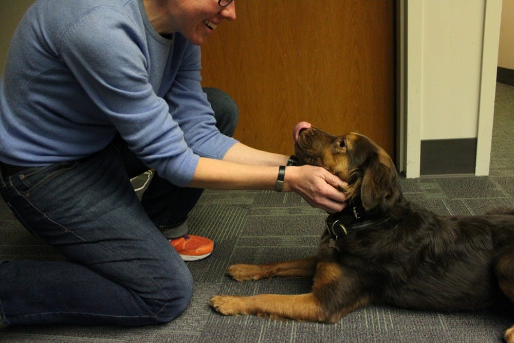 Maya is the newest member of the CAPS therapy team. Her owner, therapist Avery Cook, has started providing sessions to clients that utilize the nearly one-year-old pooch as a therapy dog.