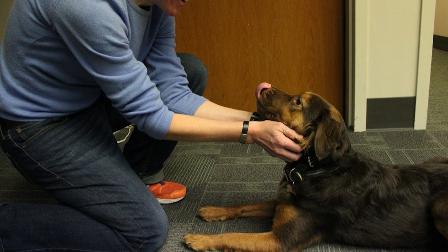 Maya is the newest member of the CAPS therapy team. Her owner, therapist Avery Cook, has started providing sessions to clients that utilize the nearly one-year-old pooch as a therapy dog.
