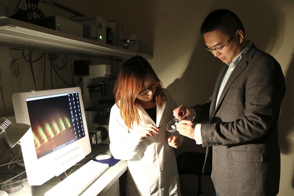 <p>Zhen Gu (right) and Ph.D. student Yanqi Ye demonstrate the equipment used to take Gu’s award-winning photo of the insulin patch the lab developed.</p>