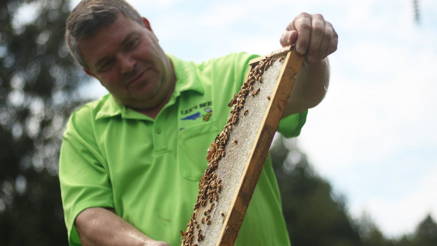 Jeff Lee, owner and beekeeper of Lee's Bees, removes a tray of bees from their hive. 