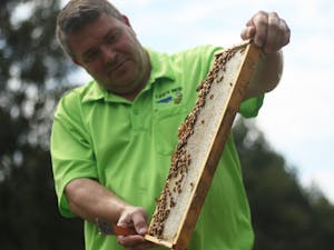 Jeff Lee, owner and beekeeper of Lee's Bees, removes a tray of bees from their hive. 