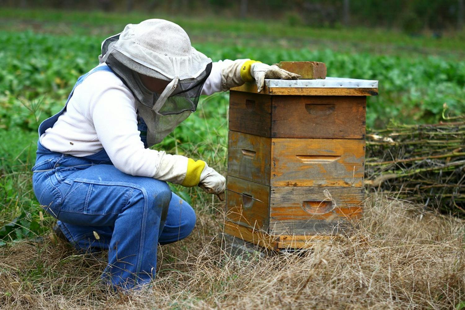 Liz Lindsey prepares her hives for winter.