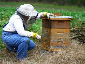 Liz Lindsey prepares her hives for winter.