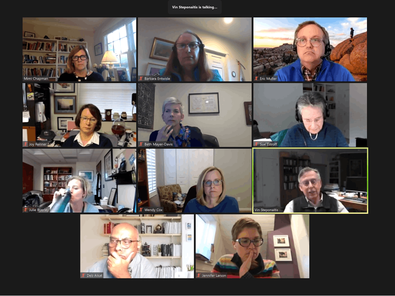 Members of the UNC Faculty Executive Committee meet over Zoom to discuss the spring semester on Monday, Nov. 2, 2020.&nbsp;