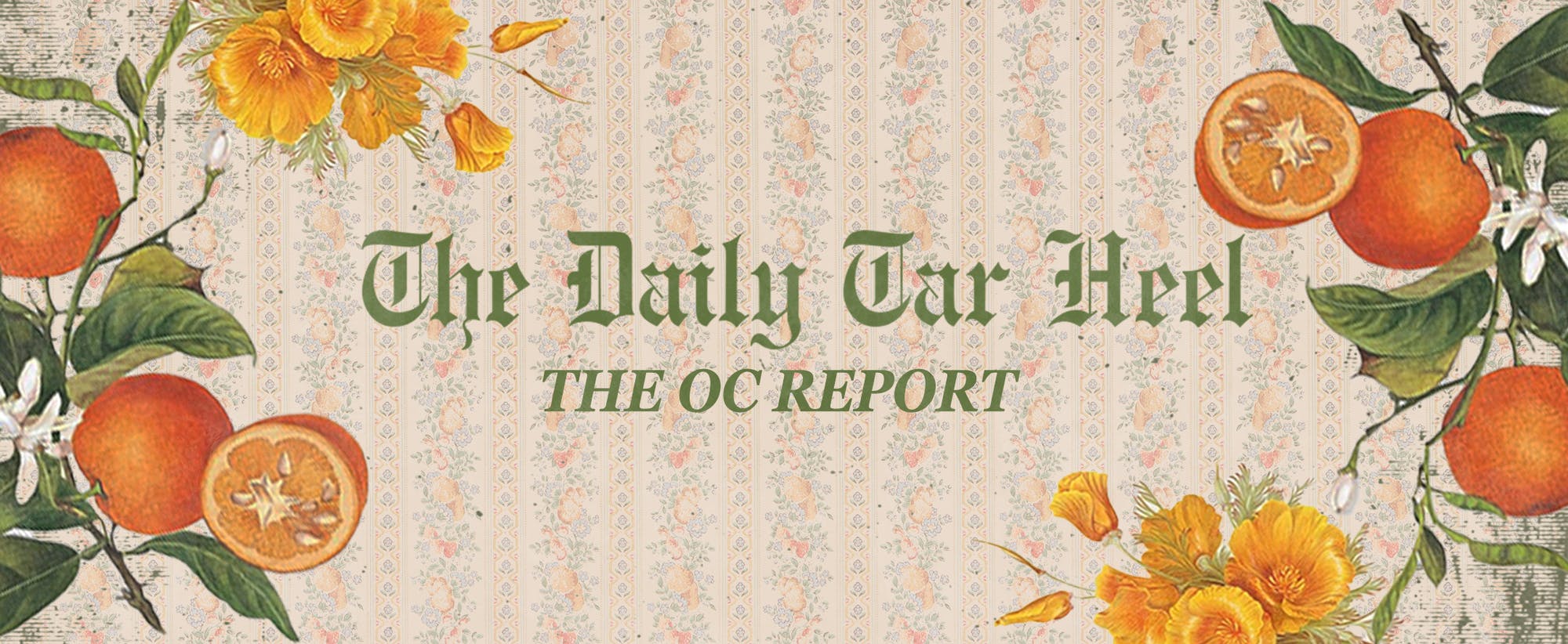ocreport.png