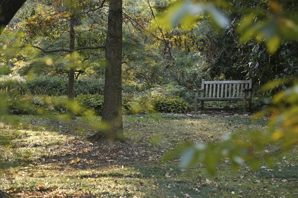 Coker Arboretum is known for its beautiful foliage and peaceful spots to rest.