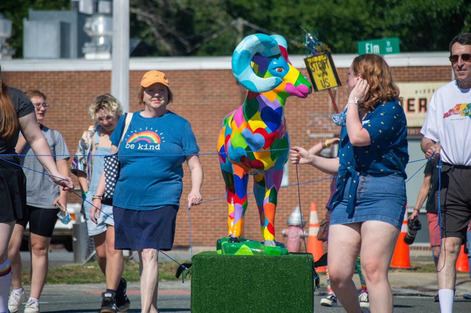 Chapel Hill Carrboro Small Town Pride 