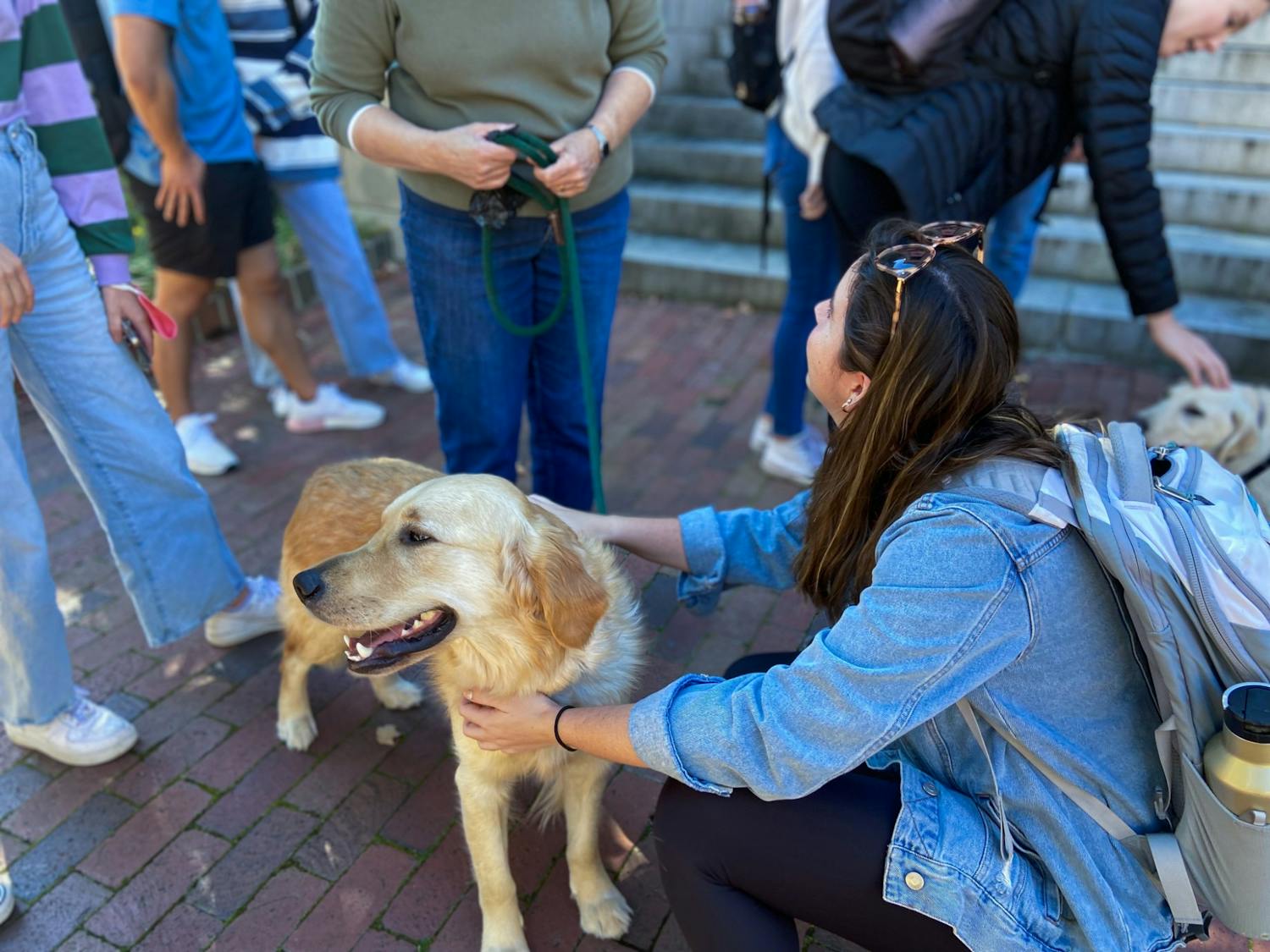 A student pets puppies at the Dogs and Donuts event outside Carroll Hall on Nov. 9.