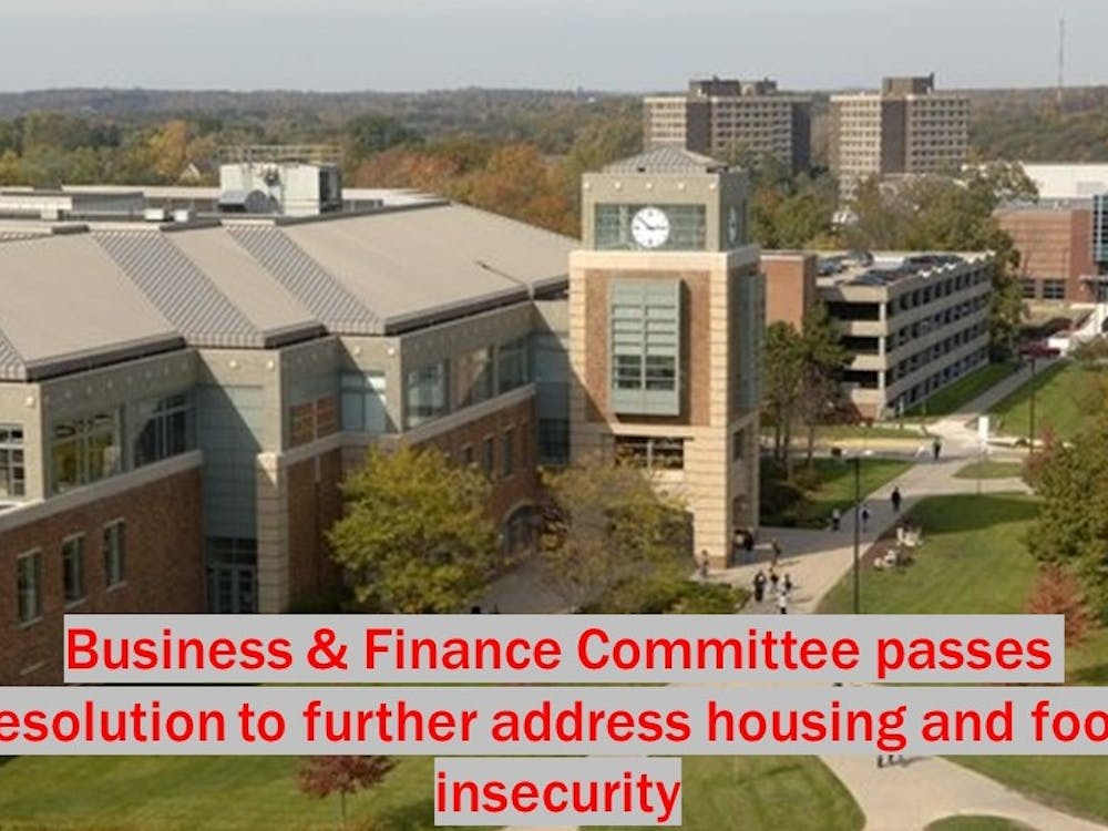 Resolution 106-10, fundraising matching for the Student Emergency Fund, passes in the Business and Finance Committee meeting on Tuesday, Nov. 12.