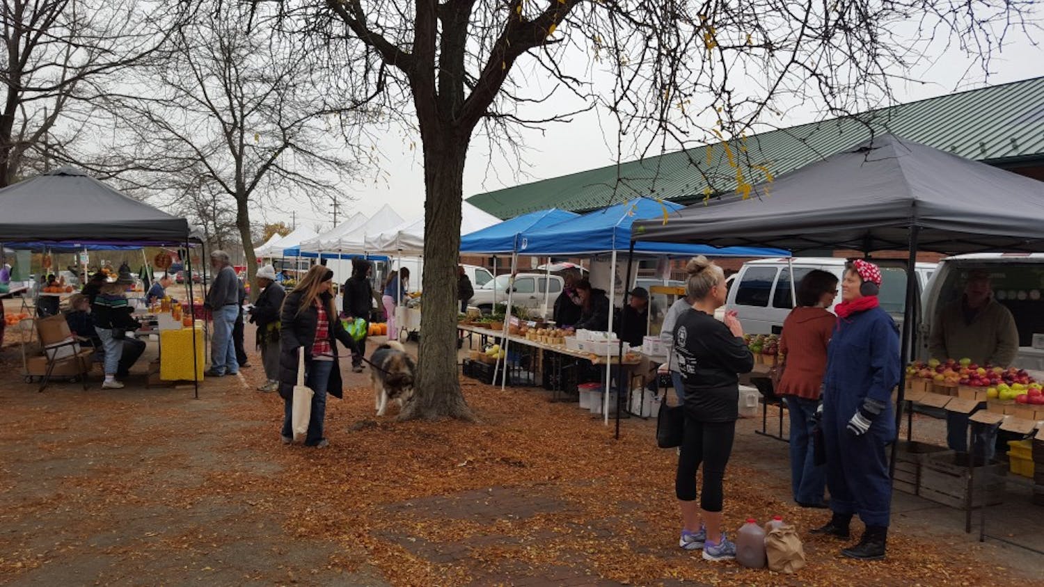 Students from the Nonprofit Leadership Alliance teamed up with Growing Hope to volunteer at the Ypsilanti Farmers Market.