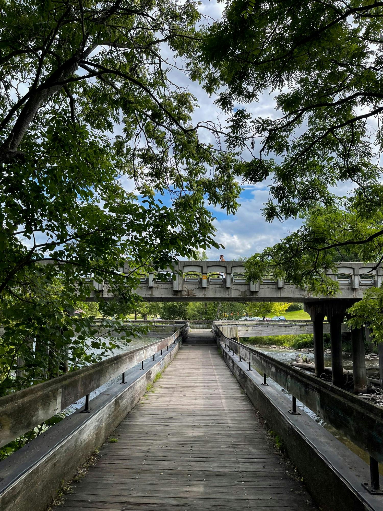 Leafy green tree branches frame a pedestrian in the background on a bridge in Frog Island Park. Overhead, the sky is blue, and the sun is shining.
