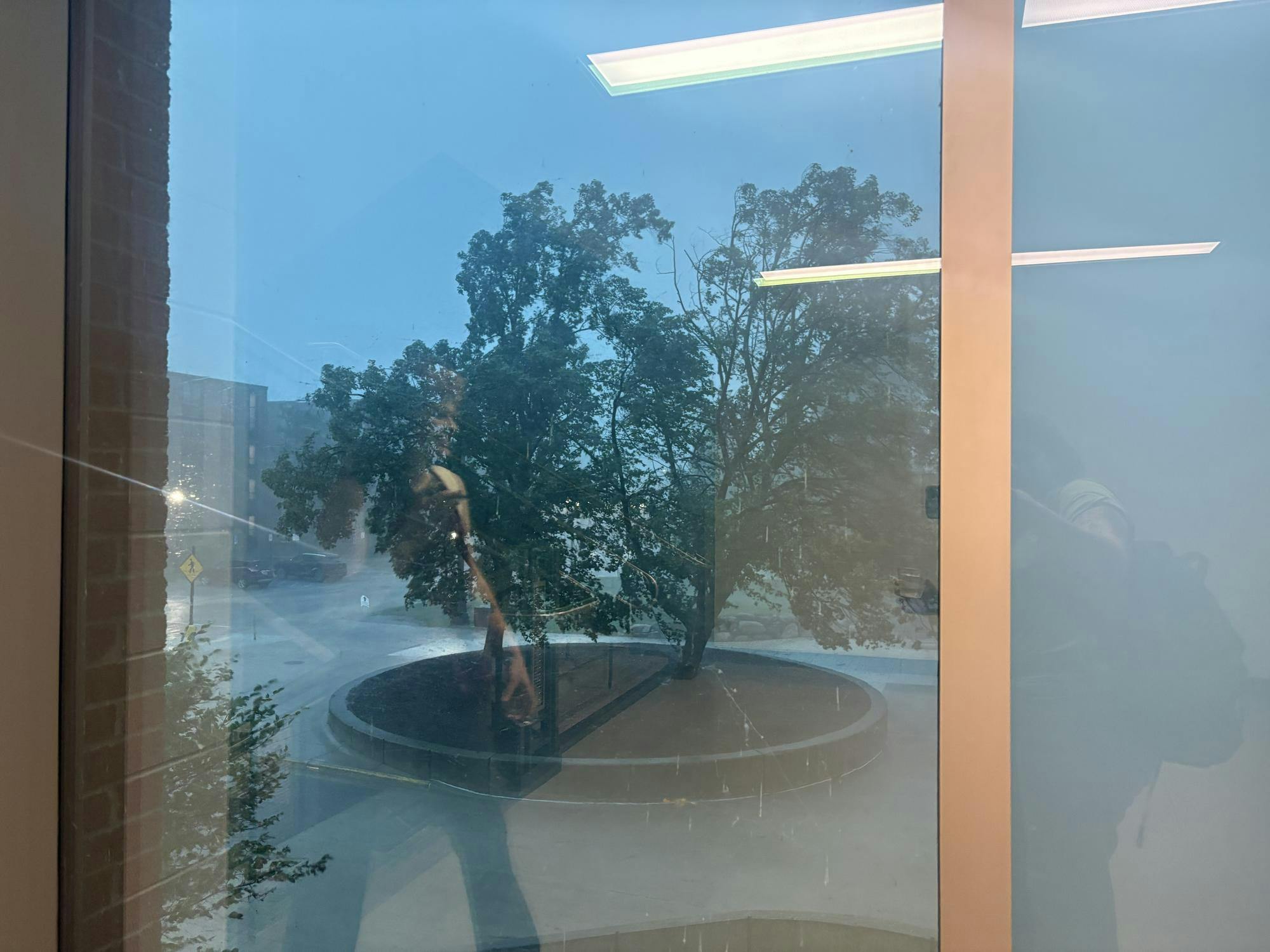Through a large glass window, a tree is seen outside blowing in the wind as rain pelts the ground. The sky is dark and cloudy.