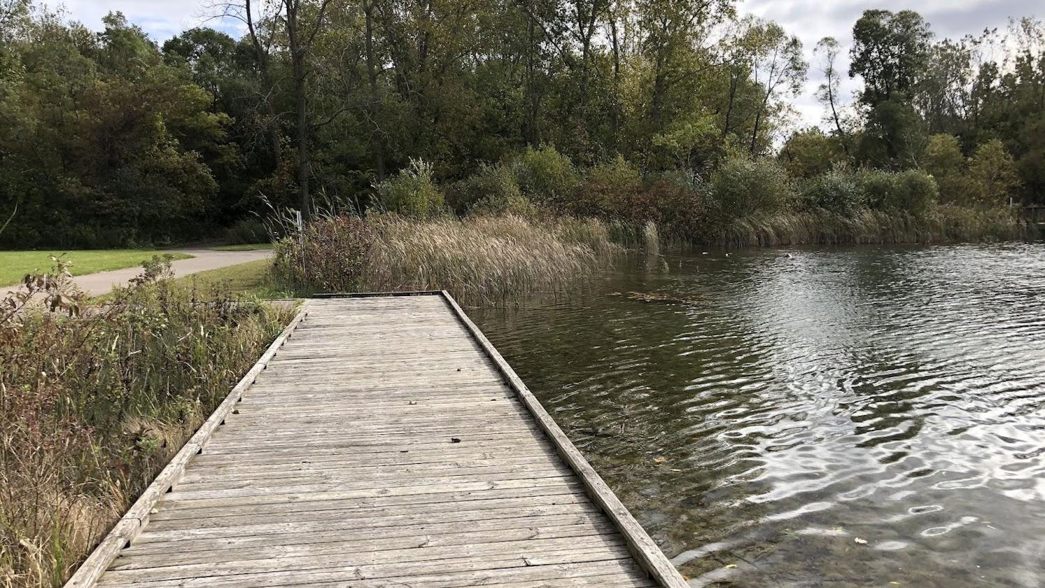 RH Trail by Pond.jpg