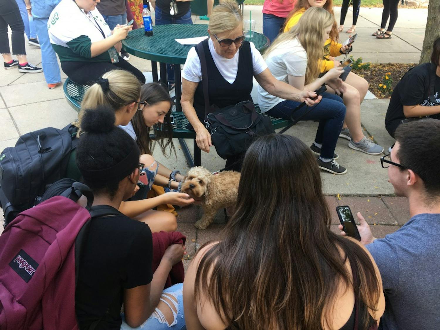 Students pet dogs from Therapaws during Wellness Woof