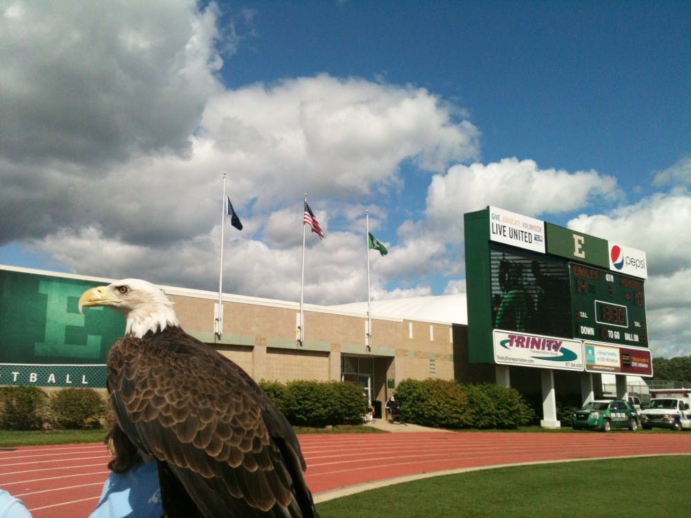 Bald eagle becomes symbol for students