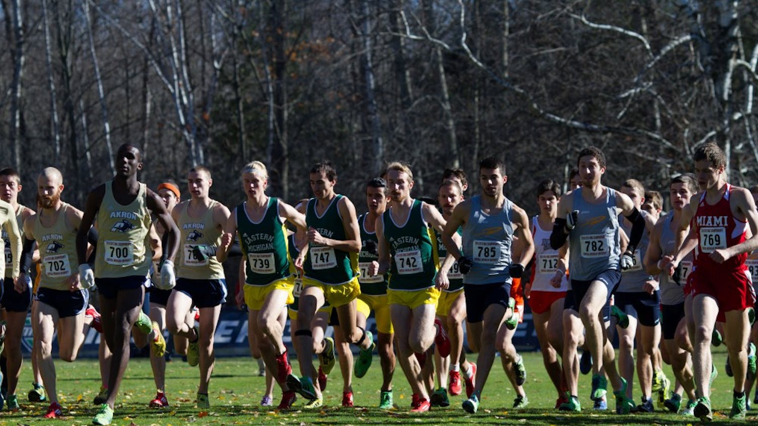 The men’s cross country team starts the race during the MAC Championship meet at Central 
Michigan University in Mount Pleasant on Saturday, November 1st, 2014.