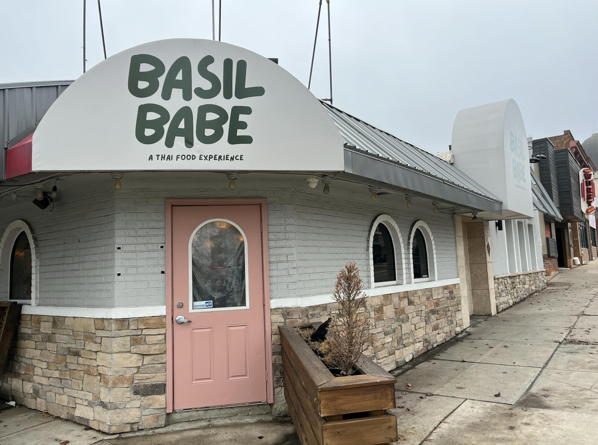 basil babe front.png