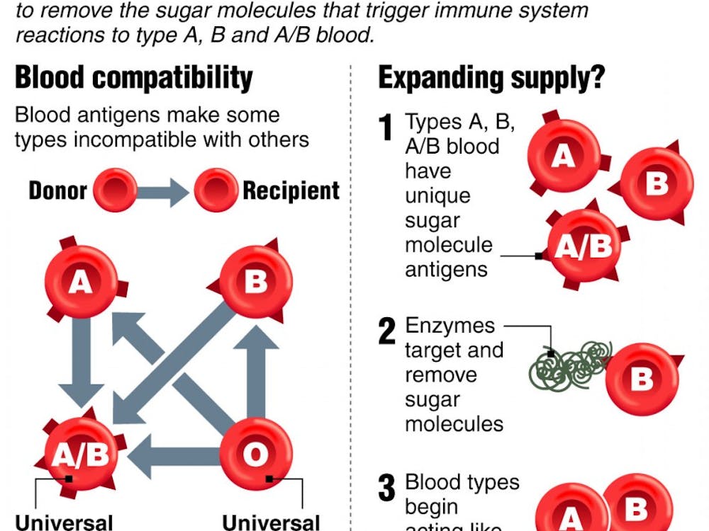 Graphic explains how human blood types affect donating and receiving blood; new research, led by a Danish scientist, shows there could be a way to make all blood types safe for patients.