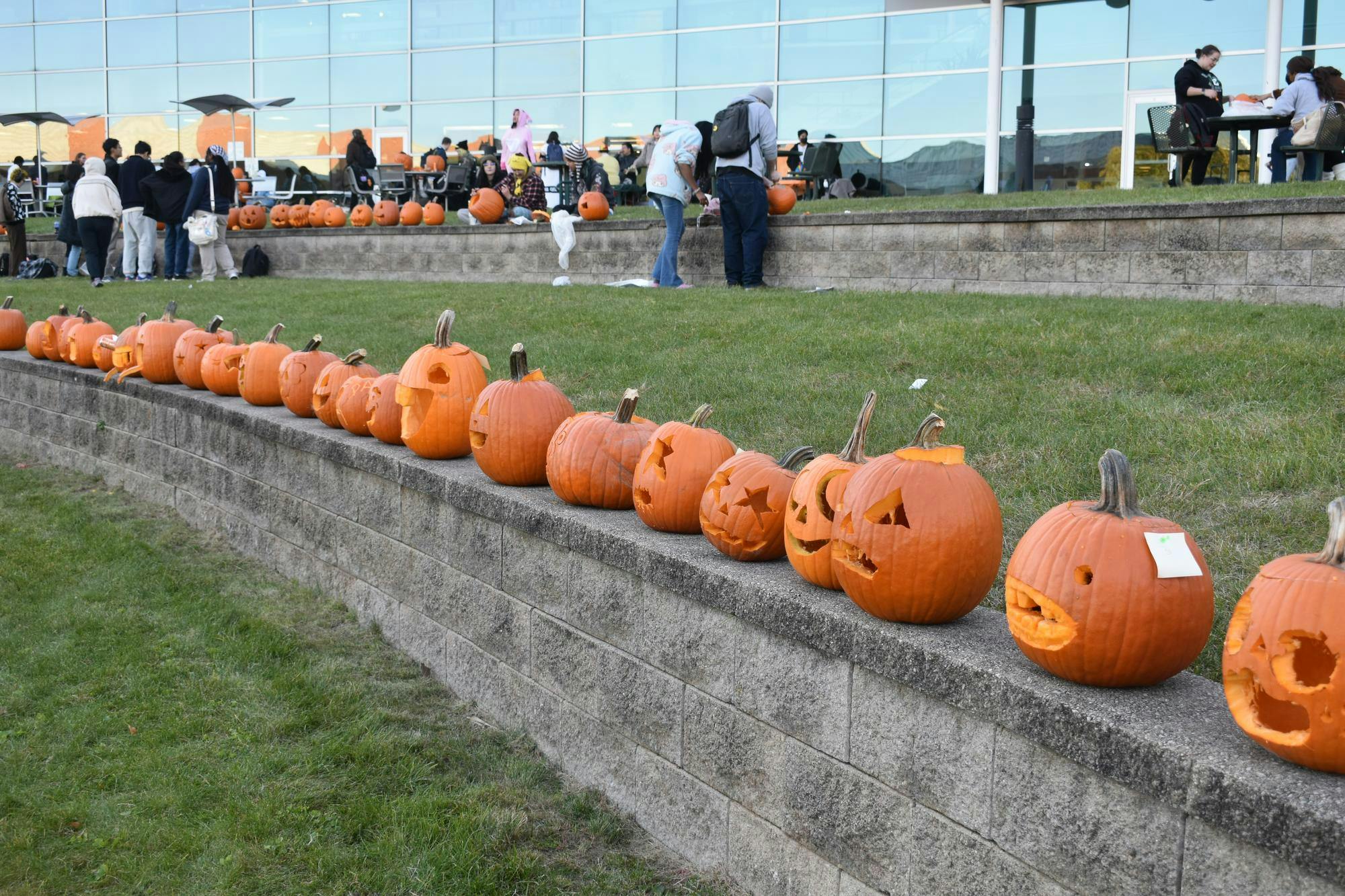Pumpkins on The Patio 2025 pumpkins