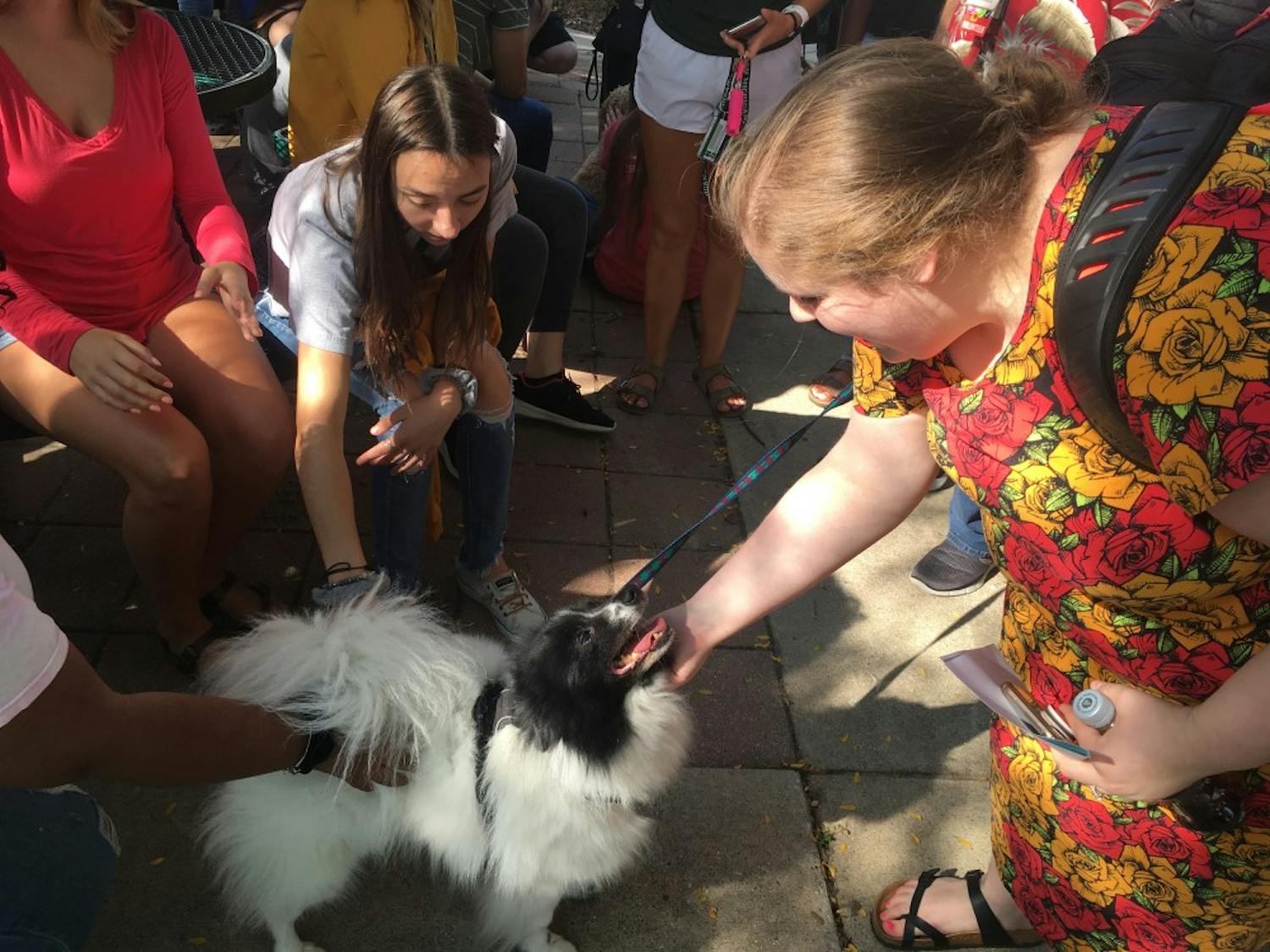 Students pet dog during Wellness Woof 