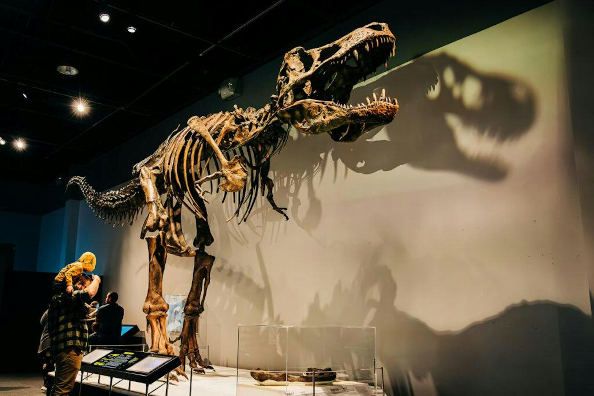 Michigan Science Center Dinosaur