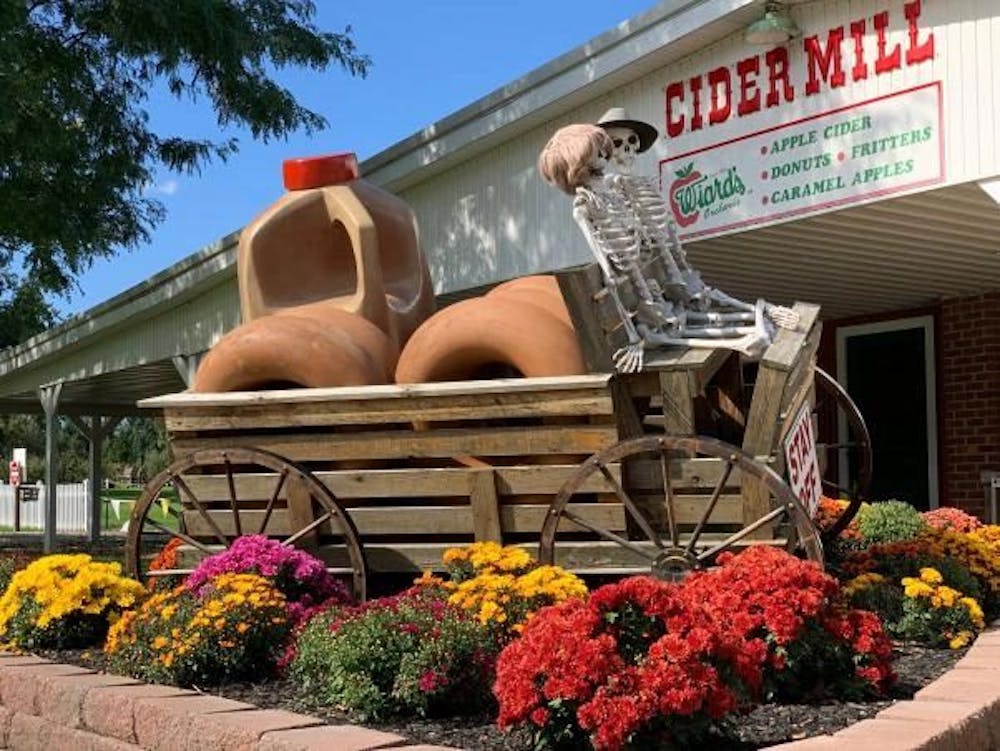 Wiard's Orchards Country Fair is back for its annual fall festivities
