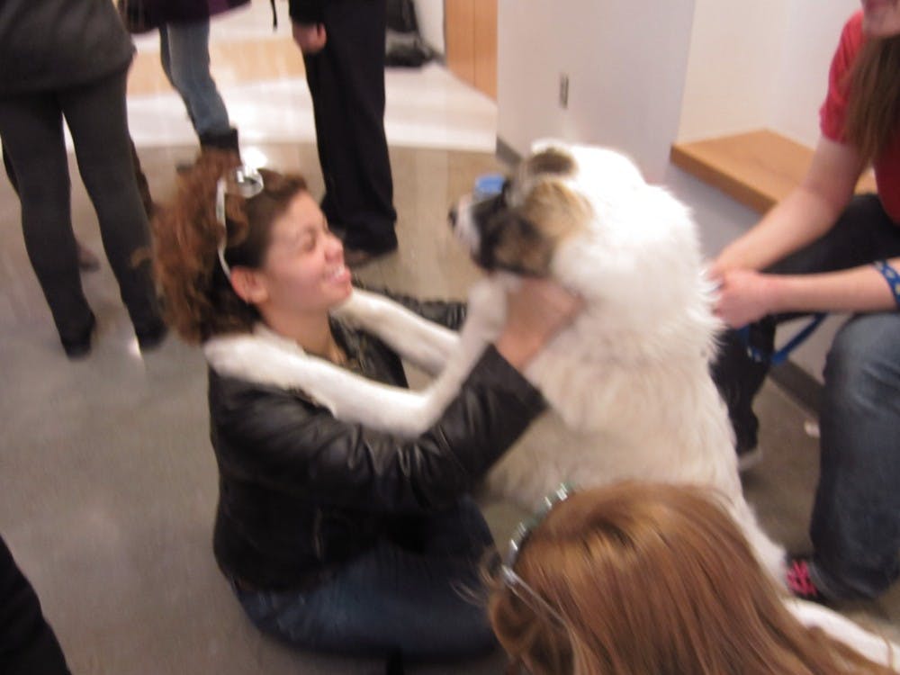 Puppy Room helps students to de-stress