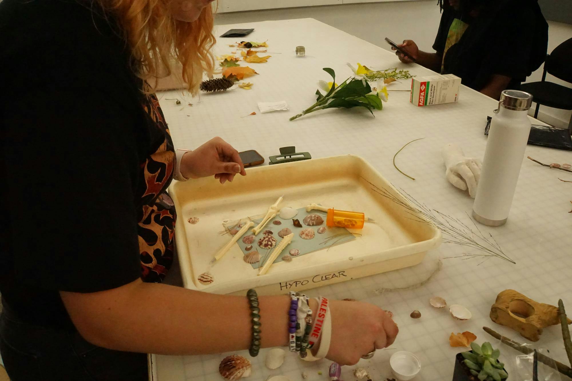 Alina places multiple shells and bones on their cyanotype paper inside their designated bin. 