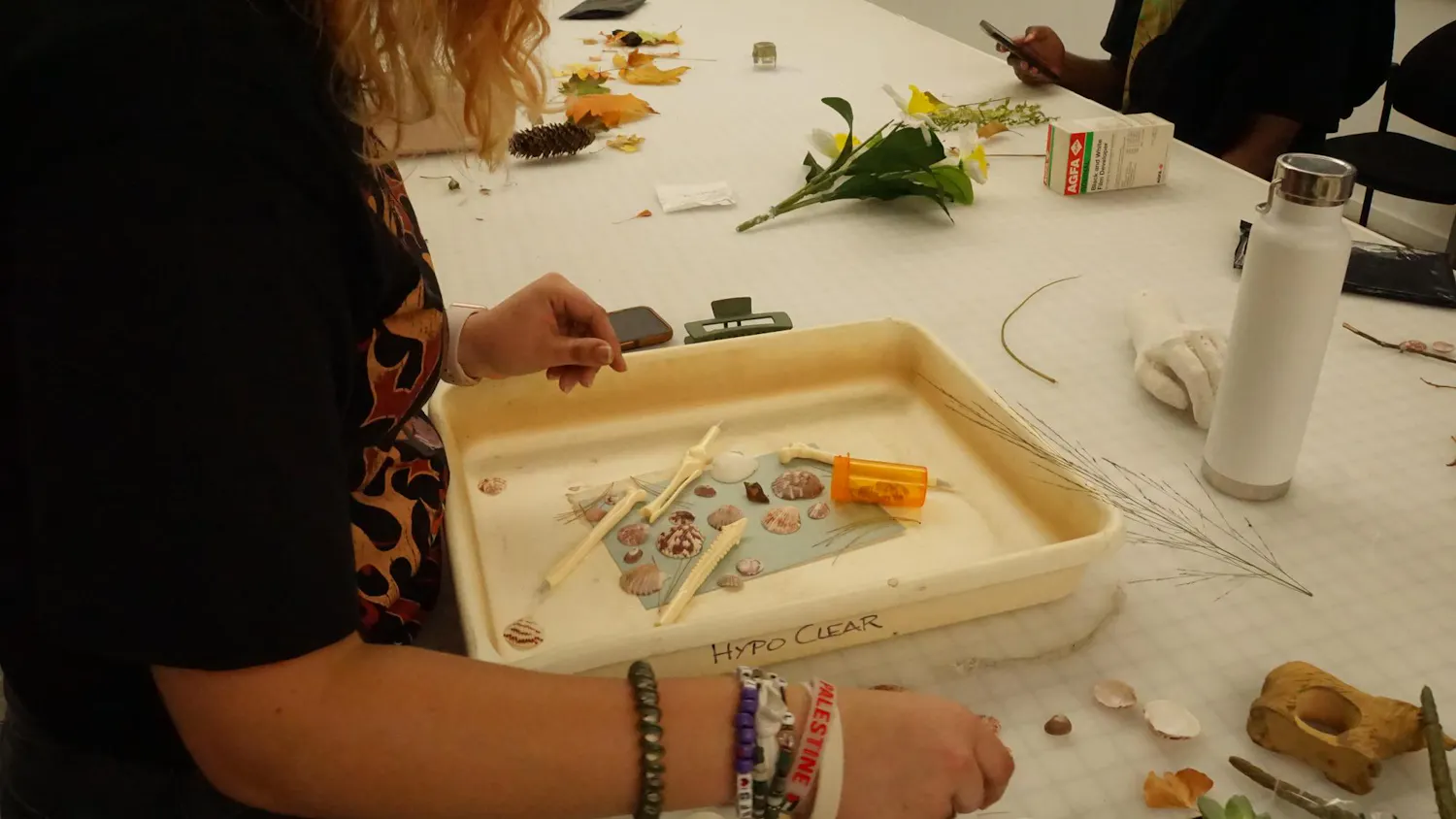 Alina places multiple shells and bones on their cyanotype paper inside their designated bin.