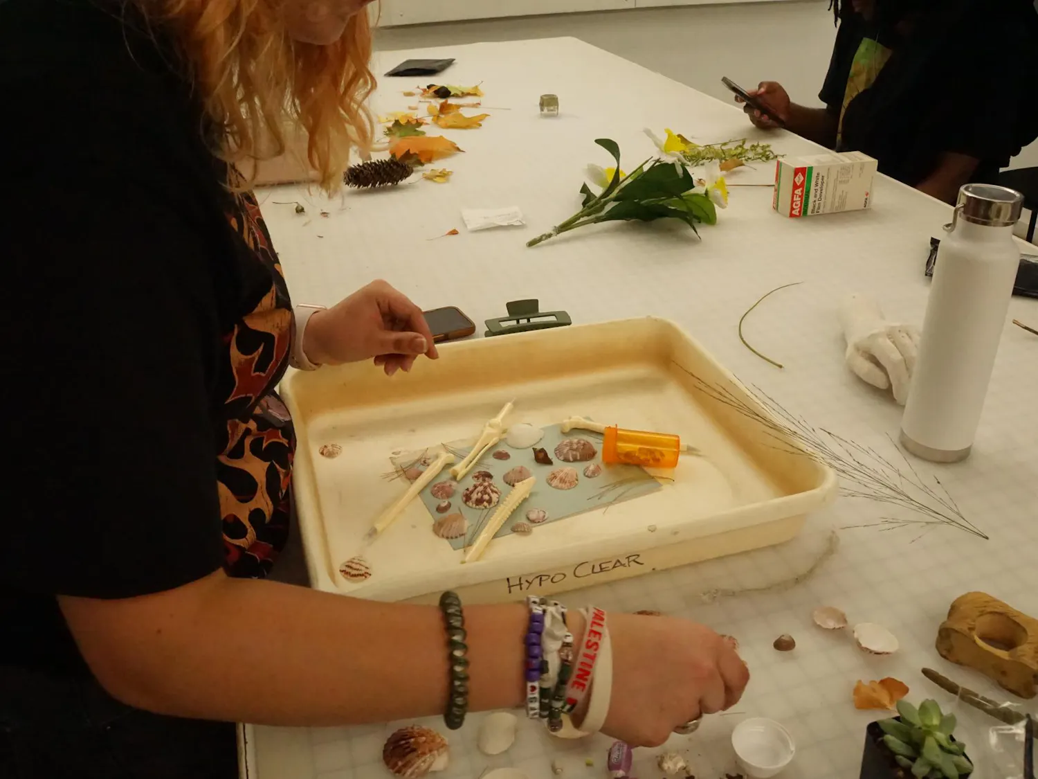 Alina places multiple shells and bones on their cyanotype paper inside their designated bin.