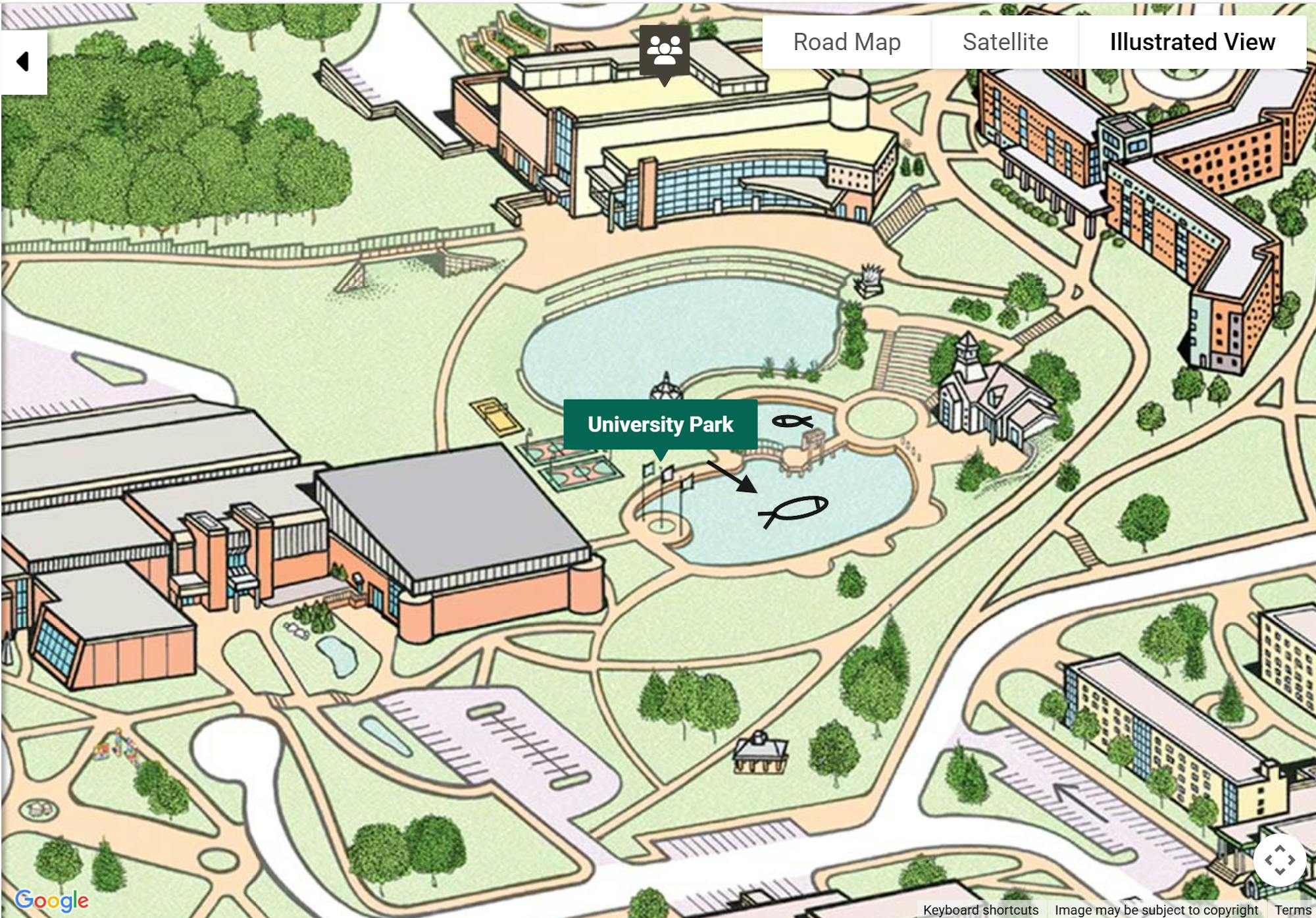 A drawing of the map of the recreational park at EMU. The ponds are located at the center of the photo. The upper pond has no fish in it, while the bottom pond has two parts and has koi fish in it.