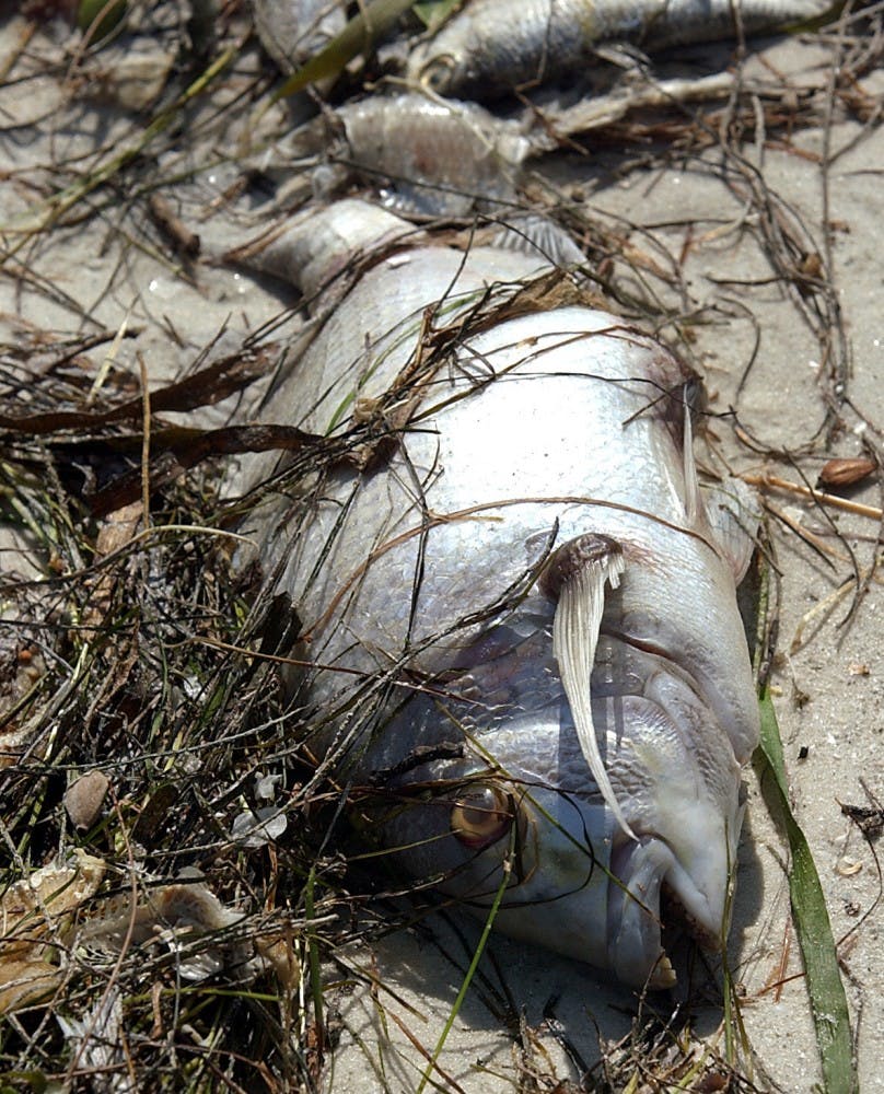 US NEWS ENV-OCEANS 3 BR