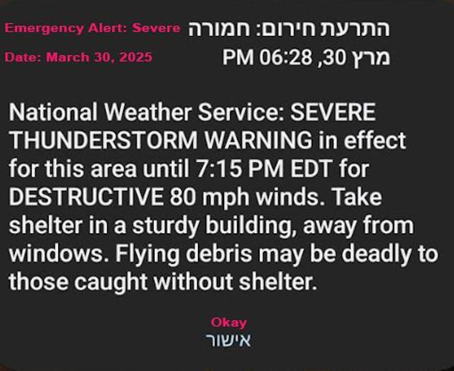 A weather alert warns of a severe thunderstorm on March 30, 2025, in effect until 7:15 p.m. for destructive 80 mph winds. The alert cautions people to stay away from windows and seek shelter from flying debris. It is written in white text on a black square background. 