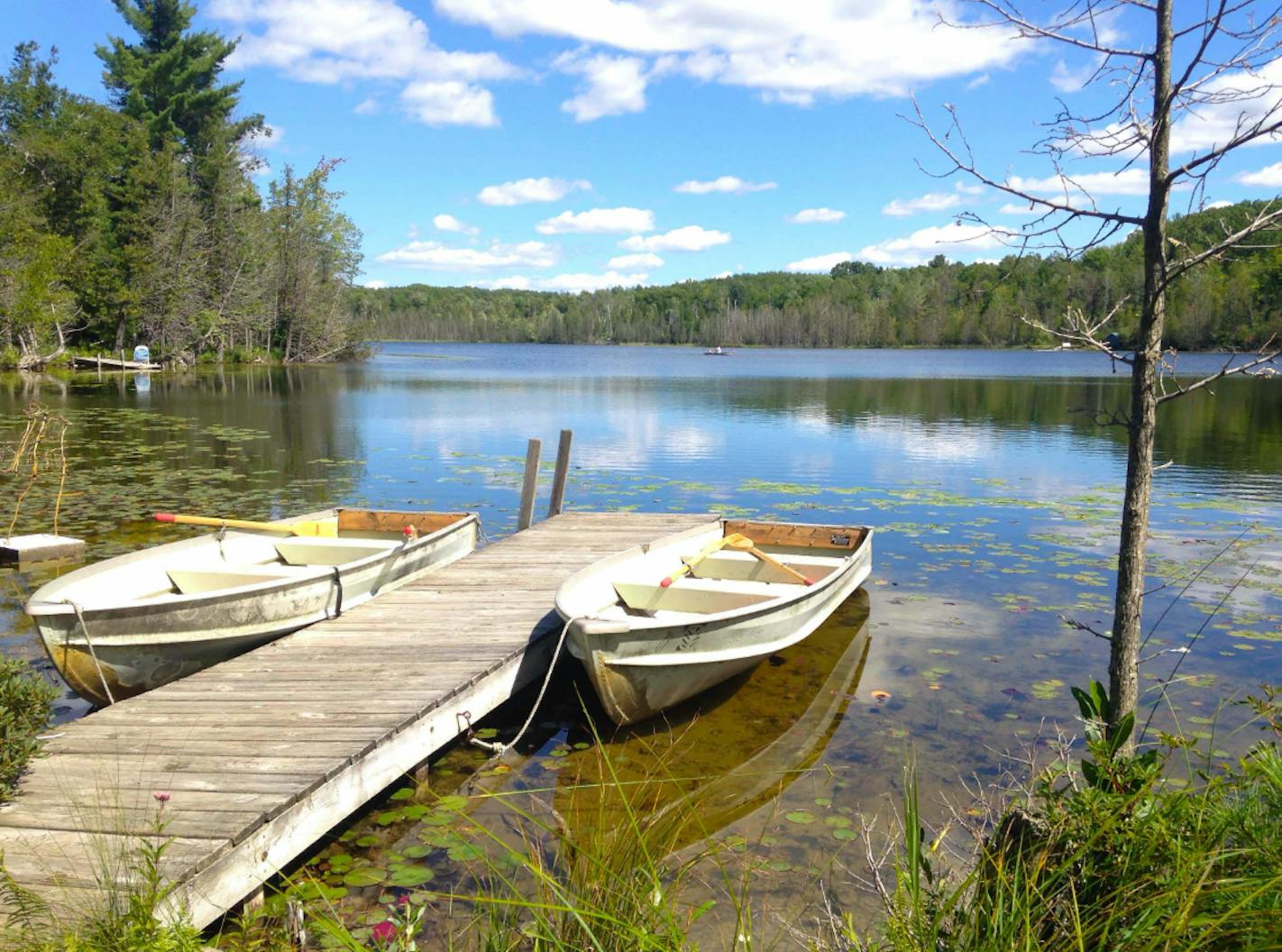 A wooden dock with two canoes overlooks a still lake on a sunny day.