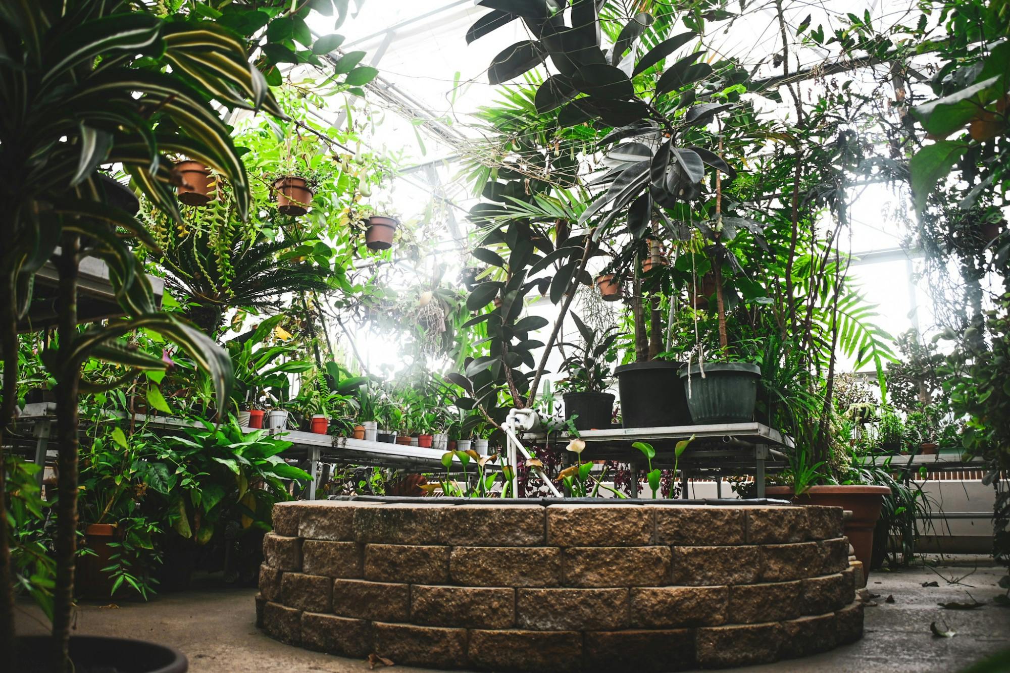 Greenhouse at Eastern Michigan University