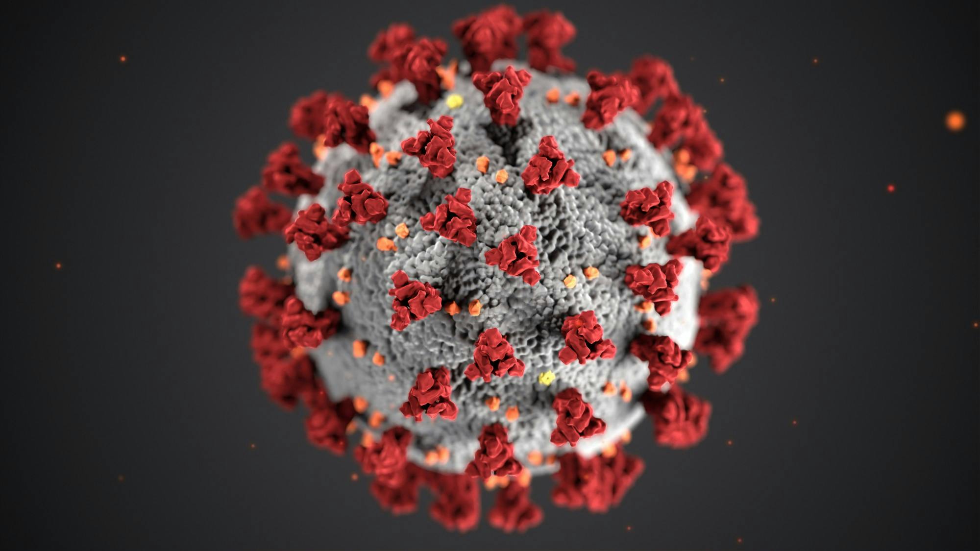 Coronavirus stock photo