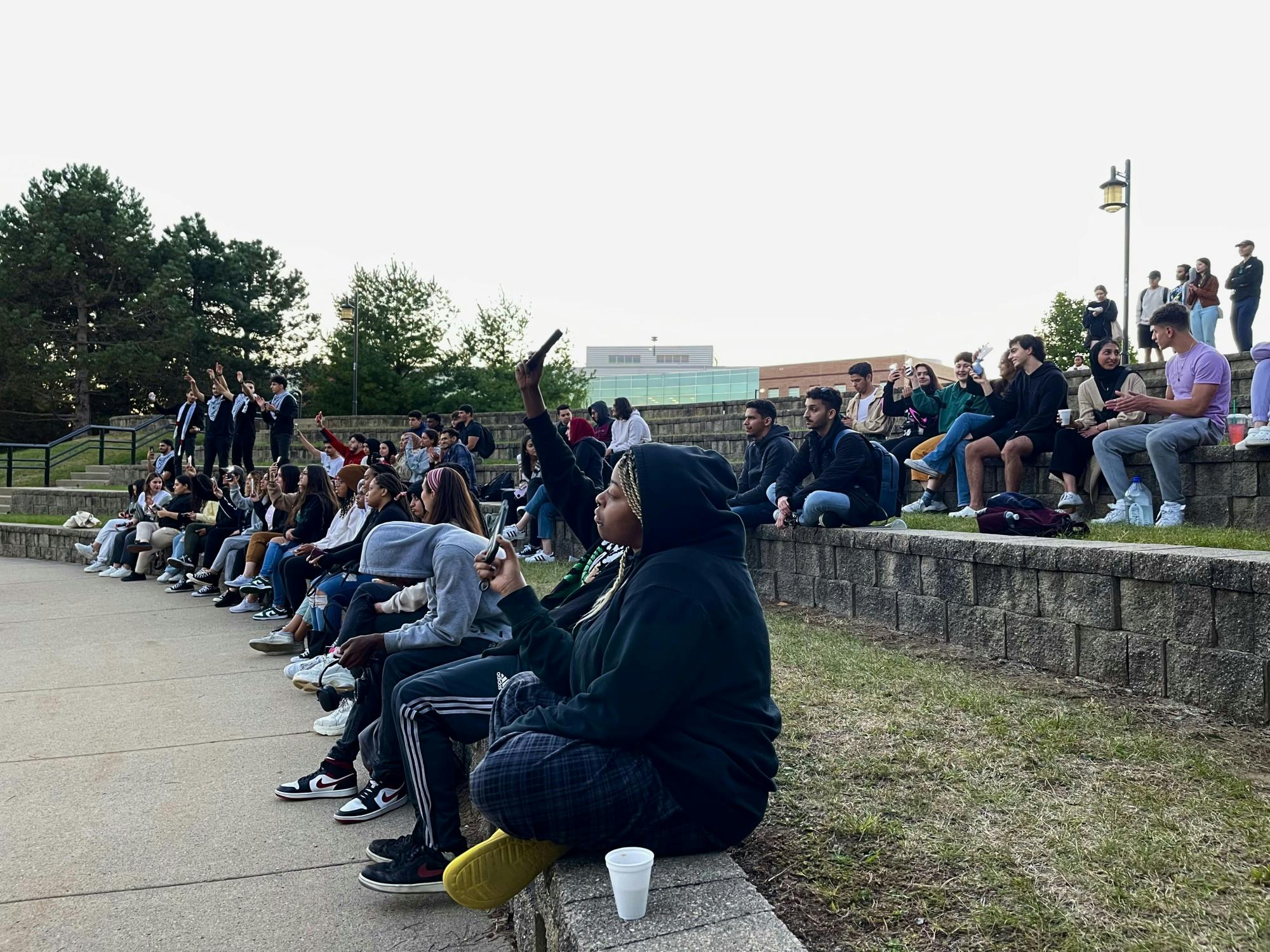 Arab Society Audience 1