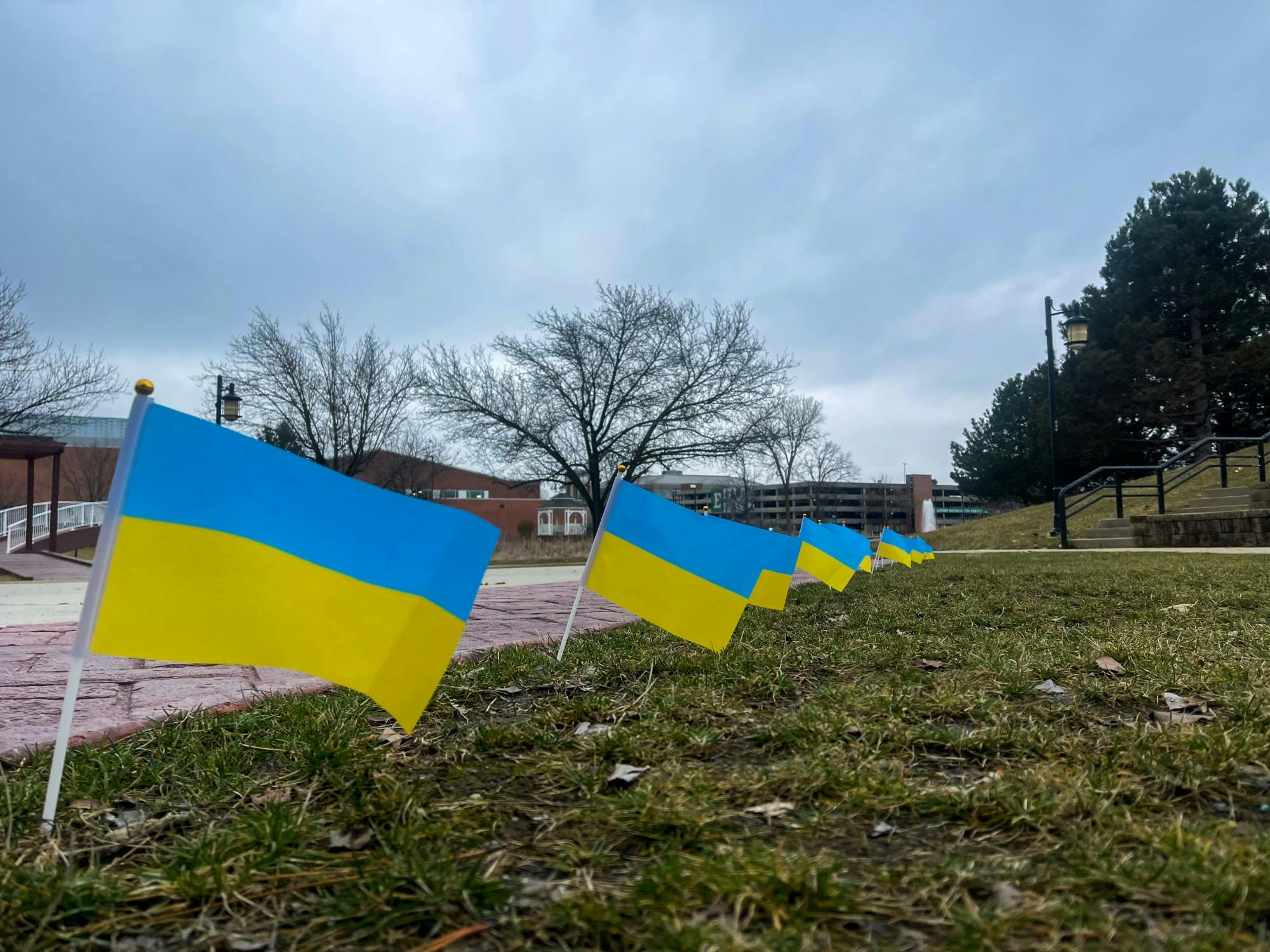 EMU4UKRAINE RALLY - Row of flags