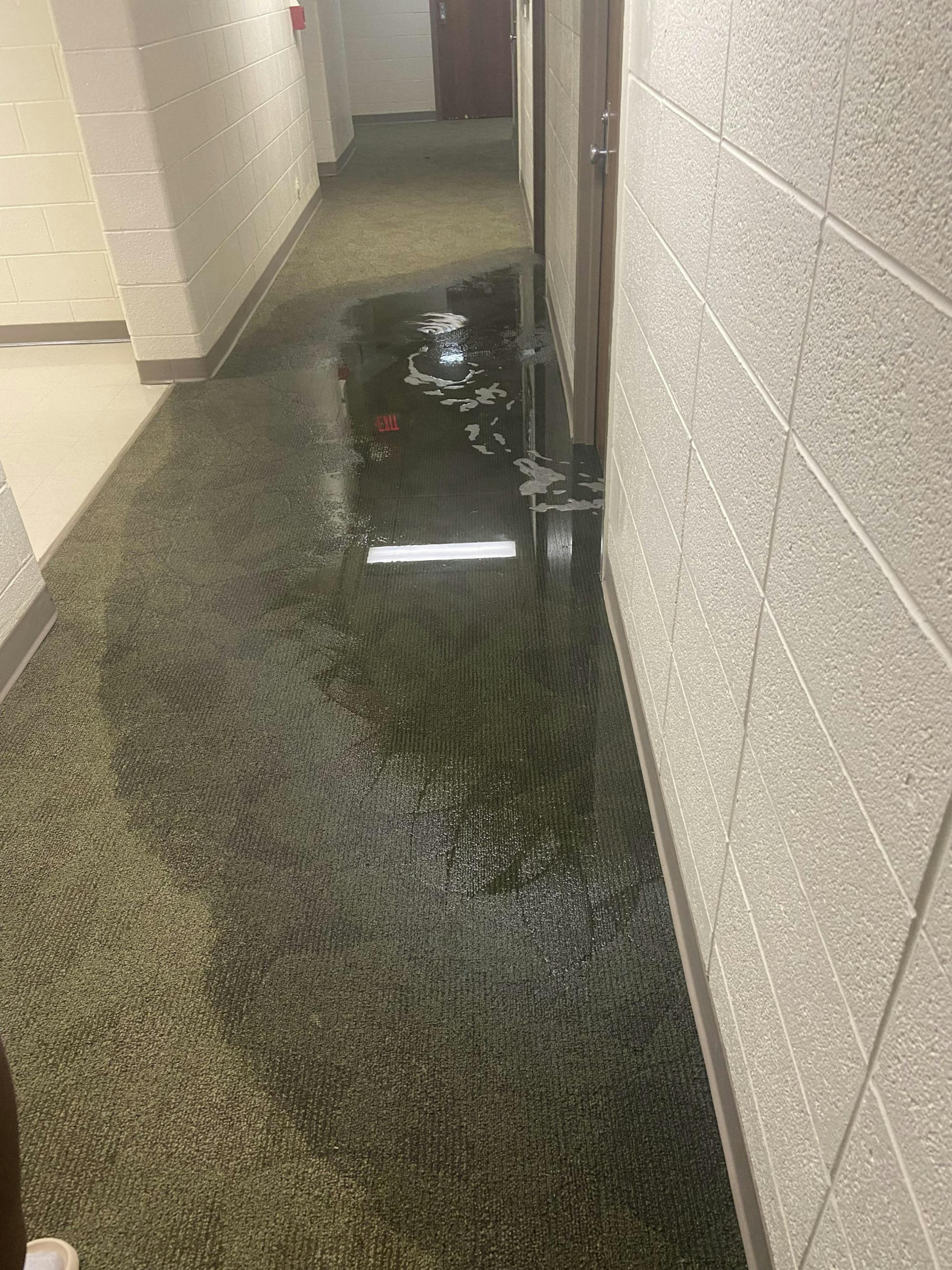 Flooded hallway.jpeg