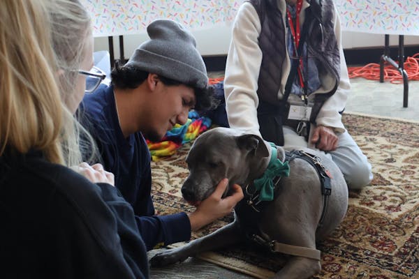 finals-lounge-2025-dunks-and-dogs
